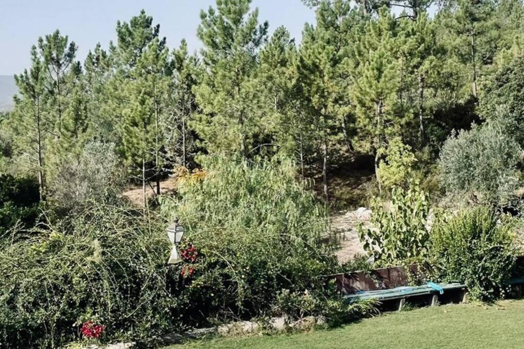 Moradia Na Serra Villa *