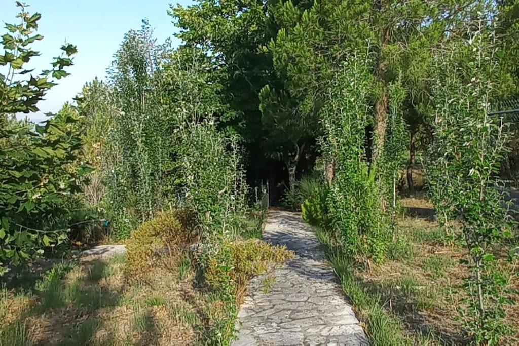 Villa Moradia Na Serra *